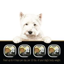 Cesar Home Delights Sausage Flavor with Egg & Cheese in Gravy Dog Food Trays -Brown's || Barkworthies || Cesar Sales 110518 PT8. SY630 V1619470953