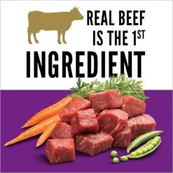 Cesar Filet Mignon Flavor & Spring Vegetables Garnish Small Breed Dry Dog Food -Brown's || Barkworthies || Cesar Sales 110522 PT3. SY630 V1622670762