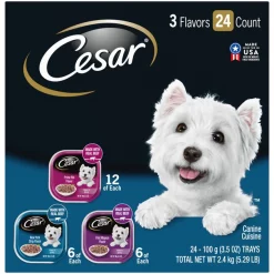 Cesar Filets in Gravy Beef Flavors Variety Pack Dog Food, 3.5-oz tray, case of 24
