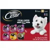 Cesar Steak Lovers Variety Pack Dog Food Trays
