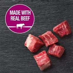 Cesar Steak Lovers Variety Pack Dog Food Trays -Brown's || Barkworthies || Cesar Sales 128539 PT2. SY630 V1621548455