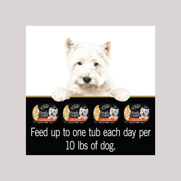 Cesar Simply Crafted Chicken, Sweet Potato, Apple, Barley & Spinach Limited-Ingredient Wet Dog Food Topper 9 Cesar Simply Crafted Chicken, Sweet Potato, Apple, Barley & Spinach Limited-Ingredient Wet Dog Food Topper - Image 9
