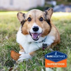 Barkworthies Turkey Jerky Recipe with Pumpkin, Sweet Potato & Carrot Blend Dog Treats -Brown's || Barkworthies || Cesar Sales 148986 PT5. SY630 V1550512179