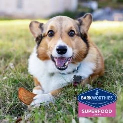 Barkworthies Venison Jerky Recipe with Blueberry & Cranberry Blend Dog Treats -Brown's || Barkworthies || Cesar Sales 148992 PT5. SY630 V1550512208