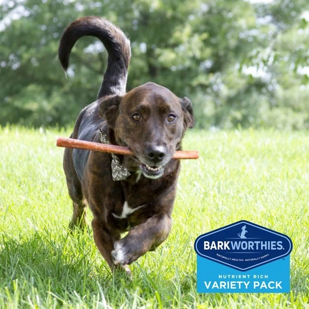 Barkworthies Medium Breed Variety Pack Natural Dog Chews 5 Barkworthies Medium Breed Variety Pack Natural Dog Chews - Image 5