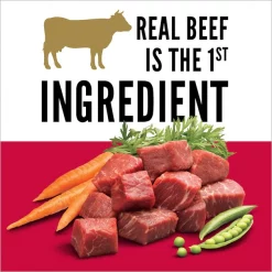 Cesar Porterhouse Flavor & Spring Vegetables Garnish Small Breed Dry Dog Food -Brown's || Barkworthies || Cesar Sales 157059 PT3. SY630 V1622669880