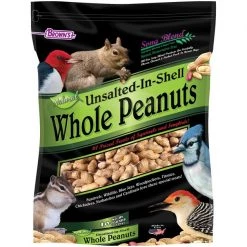 Brown's Song Blend Unsalted-In-Shell Whole Peanuts Wild Bird Food