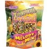 Brown's Tropical Carnival Melody Mix Small Bird Treat