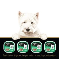 Cesar Turkey Recipe Filets in Gravy Wet Dog Food Trays -Brown's || Barkworthies || Cesar Sales 159231 PT8. SY630 V1594408919