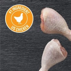 Cesar Rotisserie Chicken Flavor Filets in Gravy Wet Dog Food Trays 11 Cesar Rotisserie Chicken Flavor Filets in Gravy Wet Dog Food Trays -Brown's || Barkworthies || Cesar Sales 159233 PT2. SY630 V1592590650