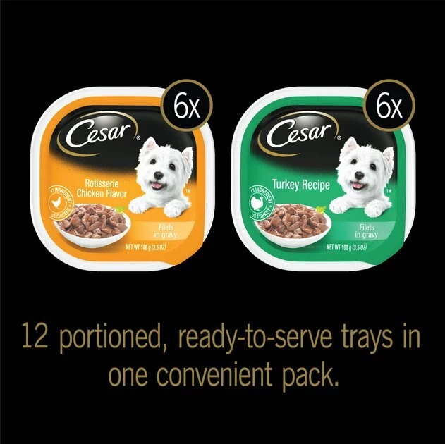 Cesar Poultry Lovers Turkey & Chicken Filets in Gravy Multipack Wet Dog Food Trays 3 Cesar Poultry Lovers Turkey & Chicken Filets in Gravy Multipack Wet Dog Food Trays - Image 3