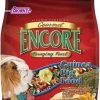Brown's Encore Gourmet Foraging Feast Guinea Pig Food