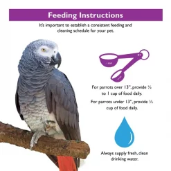 Brown's Encore Gourmet Foraging Feast Parrot & Conure Food 14 Brown's Encore Gourmet Foraging Feast Parrot & Conure Food -Brown's || Barkworthies || Cesar Sales 165364 PT6. SY630 V1595343964