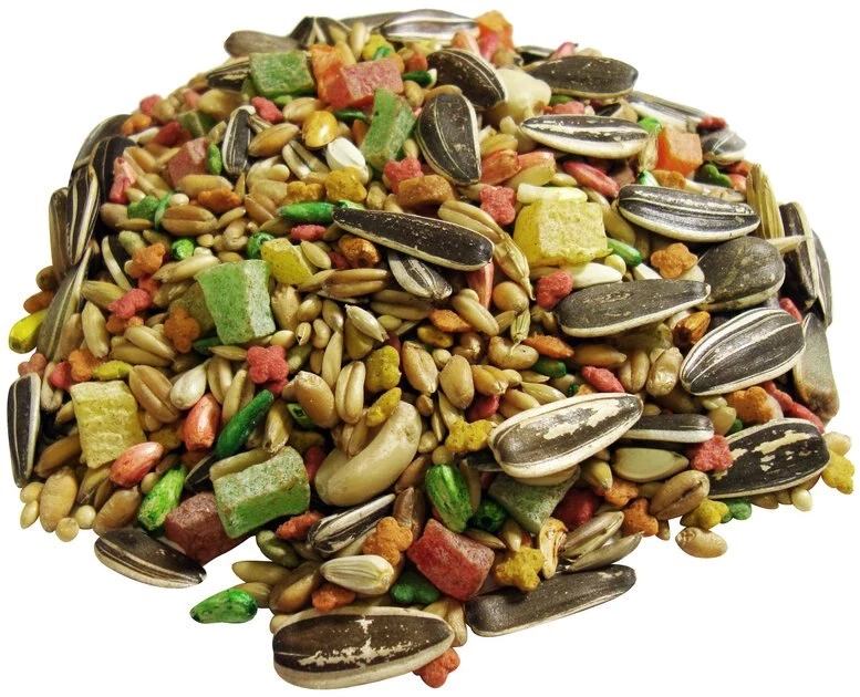 Brown's Encore Gourmet Foraging Feast Cockatiel Food 2 Brown's Encore Gourmet Foraging Feast Cockatiel Food - Image 2