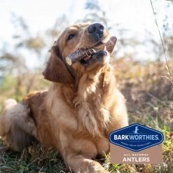 Barkworthies Split Elk Antler Dog Chew -Brown's || Barkworthies || Cesar Sales 184347 PT6. SY630 V1568384906