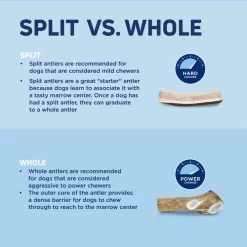 Barkworthies Whole Elk Antler Dog Chew -Brown's || Barkworthies || Cesar Sales 184352 PT2. SY630 V1568385134