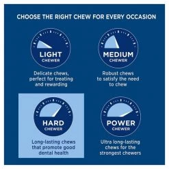 Barkworthies Beef Rib Bone Dog Treat, 2 count -Brown's || Barkworthies || Cesar Sales 184386 PT3. SY630 V1569345200