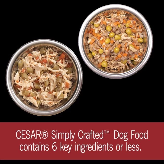Cesar Simply Crafted Variety Pack Chicken, Carrots & Green Beans & Beef, Chicken, Purple Potatoes, Peas & Carrots Wet Dog Food Topper, 1.3-oz can, 16 count 4 Cesar Simply Crafted Variety Pack Chicken, Carrots & Green Beans & Beef, Chicken, Purple Potatoes, Peas & Carrots Wet Dog Food Topper, 1.3-oz can, 16 count - Image 4