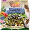 Brown's Tropical Carnival Natural Behaviors Grain-Free Daily Diet Guinea Pig Food, 4-lb bag