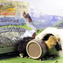 Brown's Tropical Carnival Natural Behaviors Grain-Free Daily Diet Guinea Pig Food, 4-lb bag 5 Brown's Tropical Carnival Natural Behaviors Grain-Free Daily Diet Guinea Pig Food, 4-lb bag -Brown's || Barkworthies || Cesar Sales 215276 PT2. SY630 V1577378912