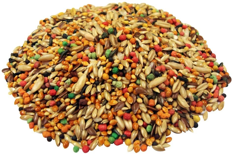 Brown's Encore Premium Canary & Finch Bird Food, 1-lb bag 3 Brown's Encore Premium Canary & Finch Bird Food, 1-lb bag - Image 3