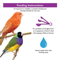 Brown's Encore Premium Canary & Finch Bird Food, 1-lb bag 10 Brown's Encore Premium Canary & Finch Bird Food, 1-lb bag -Brown's || Barkworthies || Cesar Sales 237571 PT4. SY630 V1591806364