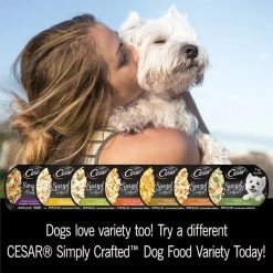 Cesar Simply Crafted Chicken, Duck, Purple Potatoes, Pumpkin, Green Beans & Brown Rice Wet Dog Food Meal Topper, 1.3-oz tray, case of 10 -Brown's || Barkworthies || Cesar Sales 265562 PT4. SY630 V1609800453