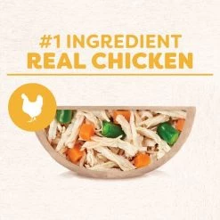 Cesar Wholesome Bowls Chicken, Sweet Potato & Green Beans Recipe Wet Dog Food, 3-oz tray, case of 10 -Brown's || Barkworthies || Cesar Sales 269185 PT2. SY630 V1612564594