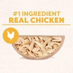 Cesar Wholesome Bowls Chicken Recipe Wet Dog Food, 3-oz tray, case of 10 -Brown's || Barkworthies || Cesar Sales 269187 PT2. SY630 V1612565502