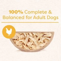 Cesar Wholesome Bowls Chicken Recipe Wet Dog Food, 3-oz tray, case of 10 -Brown's || Barkworthies || Cesar Sales 269187 PT3. SY630 V1612564072