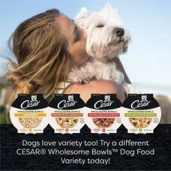 Cesar Wholesome Bowls Chicken Recipe Wet Dog Food, 3-oz tray, case of 10 -Brown's || Barkworthies || Cesar Sales 269187 PT5. SY630 V1612564281