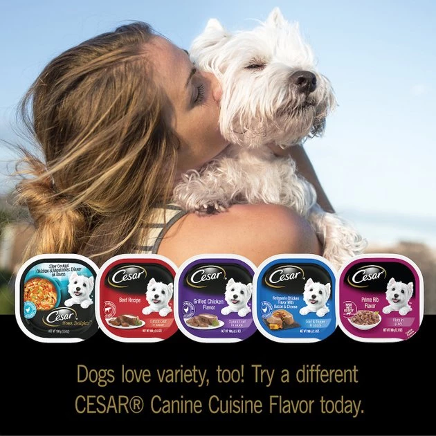 Cesar Classic Butcher's Select Dry-Aged Ribeye Flavor & Filet Mignon Flavor Loaf in Sauce Variety Pack Wet Dog Food, 3.5-oz tray, case of 24 5 Cesar Classic Butcher's Select Dry-Aged Ribeye Flavor & Filet Mignon Flavor Loaf in Sauce Variety Pack Wet Dog Food, 3.5-oz tray, case of 24 - Image 5