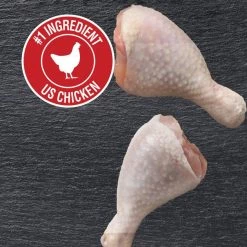 Cesar Home Delights BBQ Chicken Flavor With Green Beans & Orzo in Sauce Wet Dog Food, 3.5-oz tray, case of 24 -Brown's || Barkworthies || Cesar Sales 271278 PT3. SY630 V1619469778