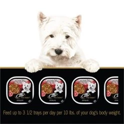 Cesar Home Delights BBQ Chicken Flavor With Green Beans & Orzo in Sauce Wet Dog Food, 3.5-oz tray, case of 24 -Brown's || Barkworthies || Cesar Sales 271278 PT8. SY630 V1619469722