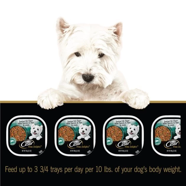 Cesar Home Delights Braised Rib Flavor With Carrots & Peas in Sauce Wet Dog Food, 3.5-oz tray, case of 24 9 Cesar Home Delights Braised Rib Flavor With Carrots & Peas in Sauce Wet Dog Food, 3.5-oz tray, case of 24 - Image 9