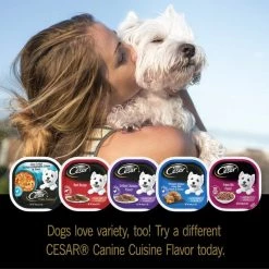 Cesar Home Delights BBQ Chicken Flavor & Braised Rib Flavor Variety Pack Wet Dog Food, 3.5-oz tray, case of 24 -Brown's || Barkworthies || Cesar Sales 271282 PT5. SY630 V1619471052