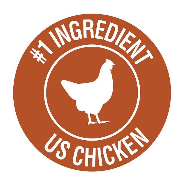 Cesar Wood-Grilled Chicken Flavor Filets in Gravy Wet Dog Food, 3.5-oz tray, case of 24 6 Cesar Wood-Grilled Chicken Flavor Filets in Gravy Wet Dog Food, 3.5-oz tray, case of 24 - Image 6