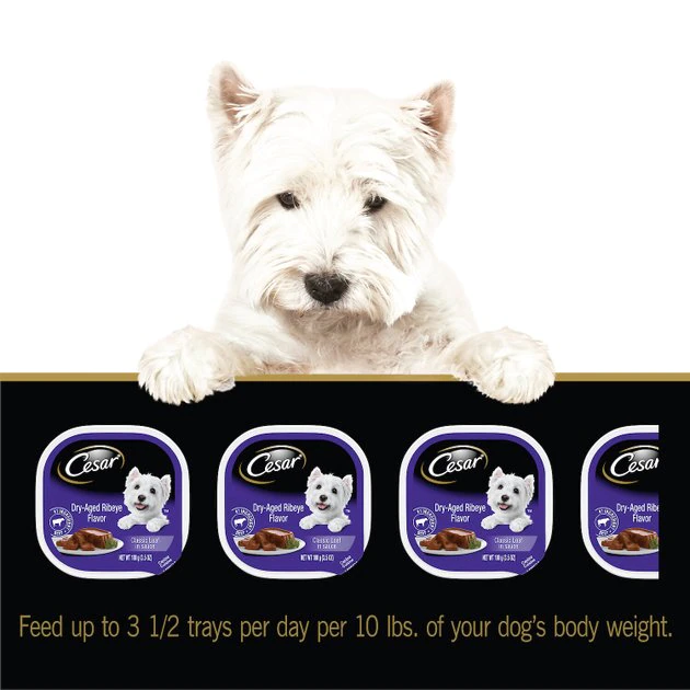 Cesar Dry-Aged Ribeye Flavor Classic Loaf in Sauce Wet Dog Food, 3.5-oz tray, case of 24 9 Cesar Dry-Aged Ribeye Flavor Classic Loaf in Sauce Wet Dog Food, 3.5-oz tray, case of 24 - Image 9