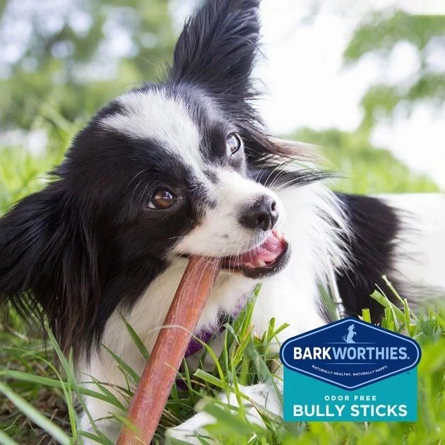 Barkworthies Bully Sticks Small Dog 4-in Grain-Free Dog Treats, 4-oz bag 4 Barkworthies Bully Sticks Small Dog 4-in Grain-Free Dog Treats, 4-oz bag - Image 4