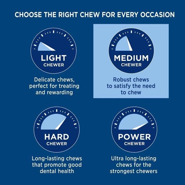 Barkworthies Beef Scapula Grain-Free Dog Treats, 2 count 4 Barkworthies Beef Scapula Grain-Free Dog Treats, 2 count - Image 4