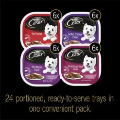 Cesar||American Journey Cesar Classic Loaf in Sauce Beef Recipe, Filet Mignon, Grilled Chicken, & Porterhouse Steak Flavors Food Trays + American Journey Beef Recipe Grain-Free Soft & Chewy Training Bits Dog Treats 10 Cesar||American Journey Cesar Classic Loaf in Sauce Beef Recipe, Filet Mignon, Grilled Chicken, & Porterhouse Steak Flavors Food Trays + American Journey Beef Recipe Grain-Free Soft & Chewy Training Bits Dog Treats -Brown's || Barkworthies || Cesar Sales 292828 PT2. SY630 V1619987524