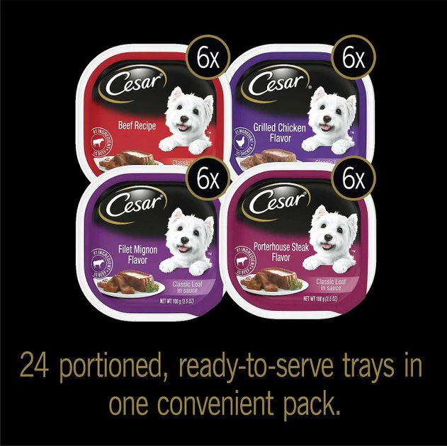 Cesar||American Journey Cesar Classic Loaf in Sauce Beef Recipe, Filet Mignon, Grilled Chicken, & Porterhouse Steak Flavors Food Trays + American Journey Beef Recipe Grain-Free Soft & Chewy Training Bits Dog Treats 3 Cesar||American Journey Cesar Classic Loaf in Sauce Beef Recipe, Filet Mignon, Grilled Chicken, & Porterhouse Steak Flavors Food Trays + American Journey Beef Recipe Grain-Free Soft & Chewy Training Bits Dog Treats - Image 3
