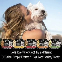 Cesar Simply Crafted Chicken, Sweet Potato, Apple, Barley & Spinach Limited-Ingredient + Chicken Limited-Ingredient Wet Dog Food Topper 17 Cesar Simply Crafted Chicken, Sweet Potato, Apple, Barley & Spinach Limited-Ingredient + Chicken Limited-Ingredient Wet Dog Food Topper -Brown's || Barkworthies || Cesar Sales 356873 PT8. SY630 V1640892992