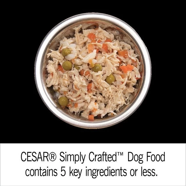 Cesar Simply Crafted Cuisine Complement Soft Wet Adult Dog Food Variety Pack 3 Cesar Simply Crafted Cuisine Complement Soft Wet Adult Dog Food Variety Pack - Image 3