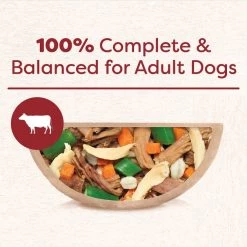 Cesar Wholesome Bowls Beef, Chicken, Carrots, Barley & Green Beans Recipe Adult Soft Wet Dog Food Topper, 3-oz Bowl, Case of 10 -Brown's || Barkworthies || Cesar Sales 362794 PT4. SY630 V1642809420