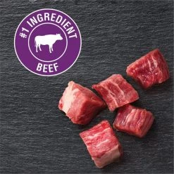 Cesar Classic Loaf in Sauce Filet Mignon Flavor Dog Food Trays -Brown's || Barkworthies || Cesar Sales 47083 PT3. SY630 V1621549087