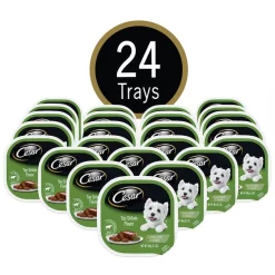 Cesar Classic Loaf in Sauce Top Sirloin Flavor Dog Food Trays -Brown's || Barkworthies || Cesar Sales 47087 PT2. SY630 V1621548434