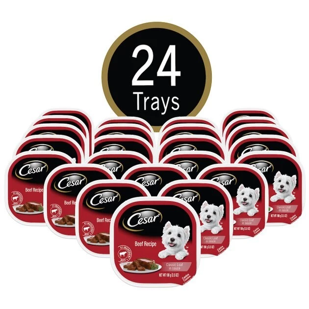 Cesar Classic Loaf in Sauce Beef Recipe Dog Food Trays 3 Cesar Classic Loaf in Sauce Beef Recipe Dog Food Trays - Image 3