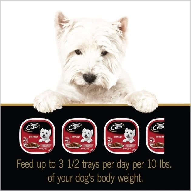 Cesar Classic Loaf in Sauce Beef Recipe Dog Food Trays 9 Cesar Classic Loaf in Sauce Beef Recipe Dog Food Trays - Image 9