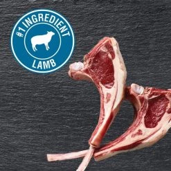 Cesar Classic Loaf in Sauce Lamb Recipe Dog Food Trays -Brown's || Barkworthies || Cesar Sales 47089 PT2. SY630 V1592591528